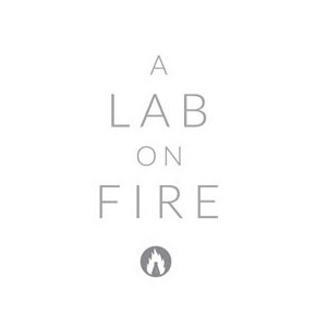 A lab on Fire comprar online